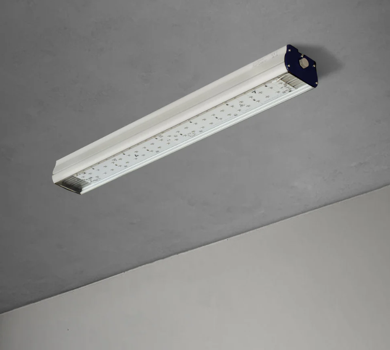 Screenshot 2026-01-27 135938.png