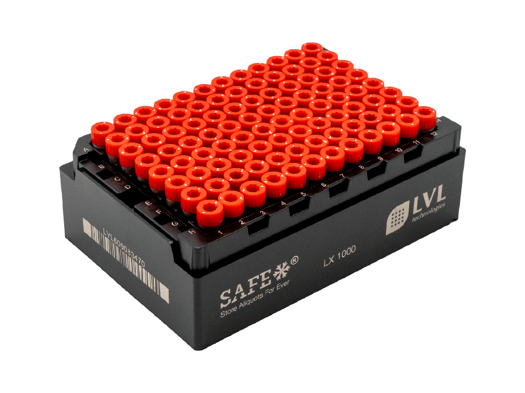 DSC5040_B-RED CAP.png